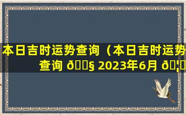 本日吉时运势查询（本日吉时运势查询 🐧 2023年6月 🦟 15号是开日吗）